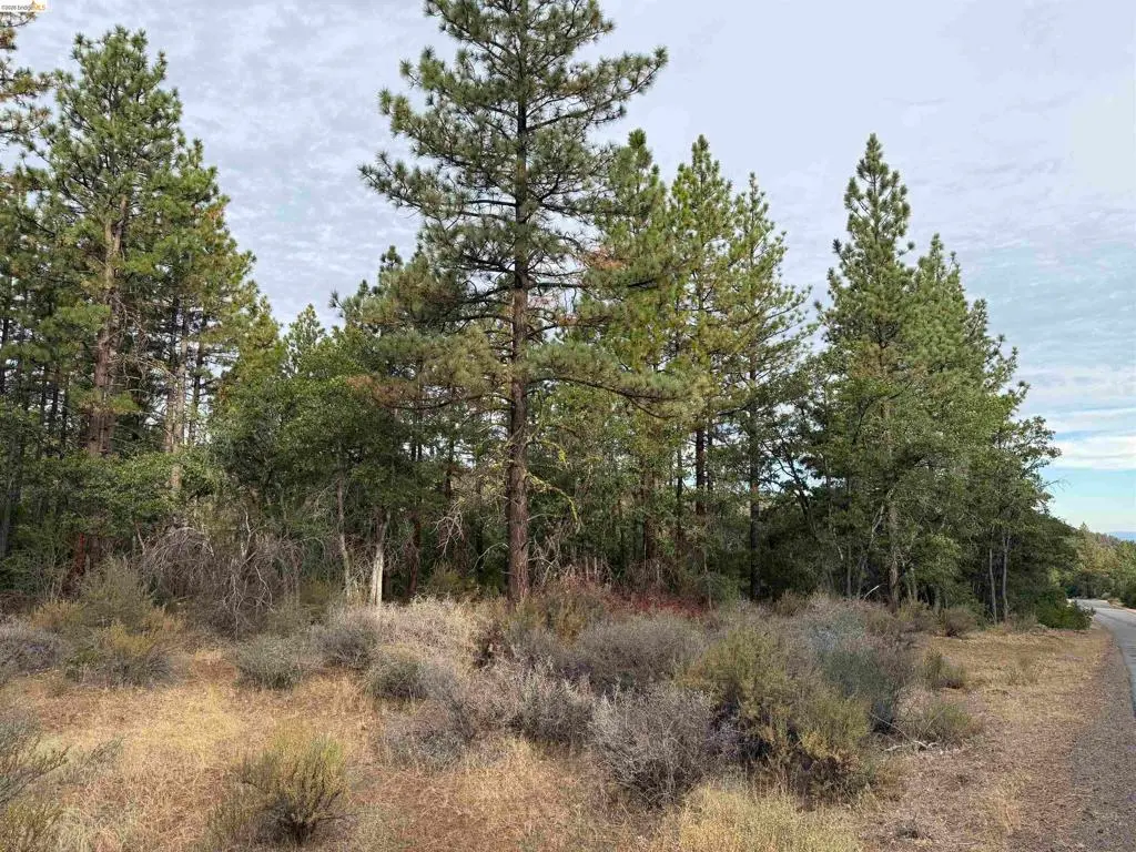 00000 Little Vallley, Mcarthur, CA — listing photo 1