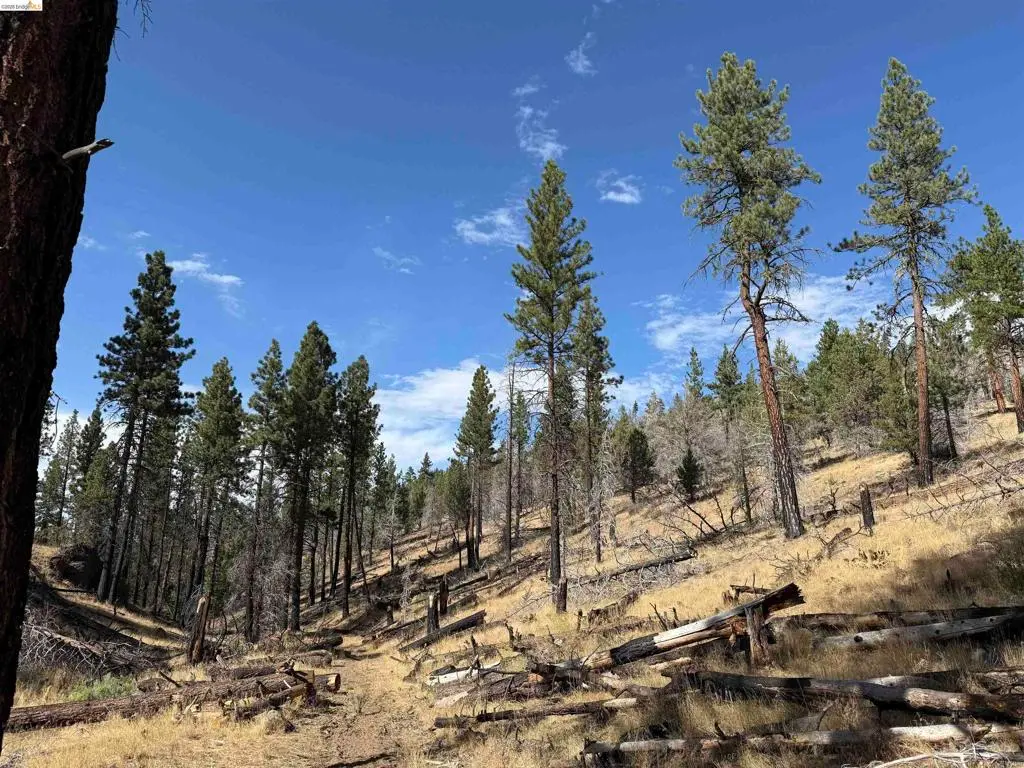 00000 Butte Creek Rd, Susanville, CA — listing photo 1
