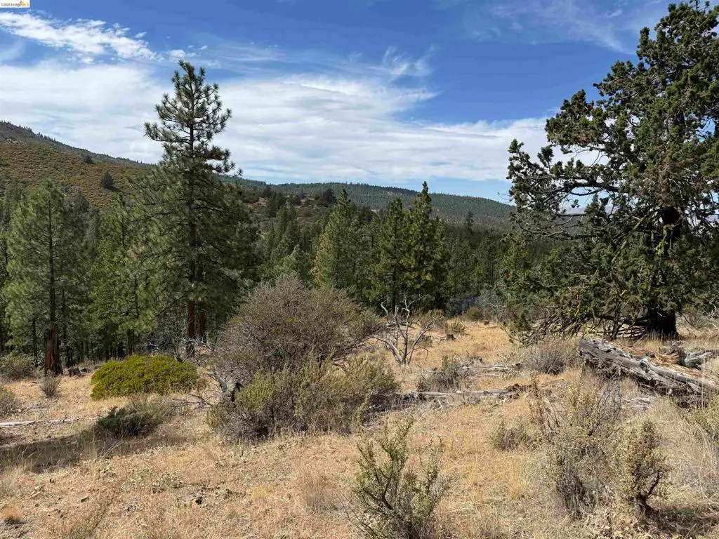 00000 North Twin, Bieber, CA — listing photo 1