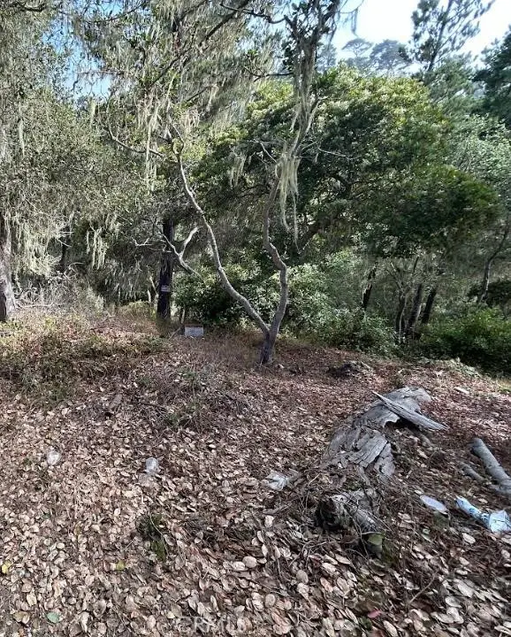 2812 Ramsey Road, Cambria, CA — listing photo 1