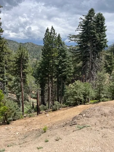 2349 Deep Creek, Running Springs, CA — listing photo 1