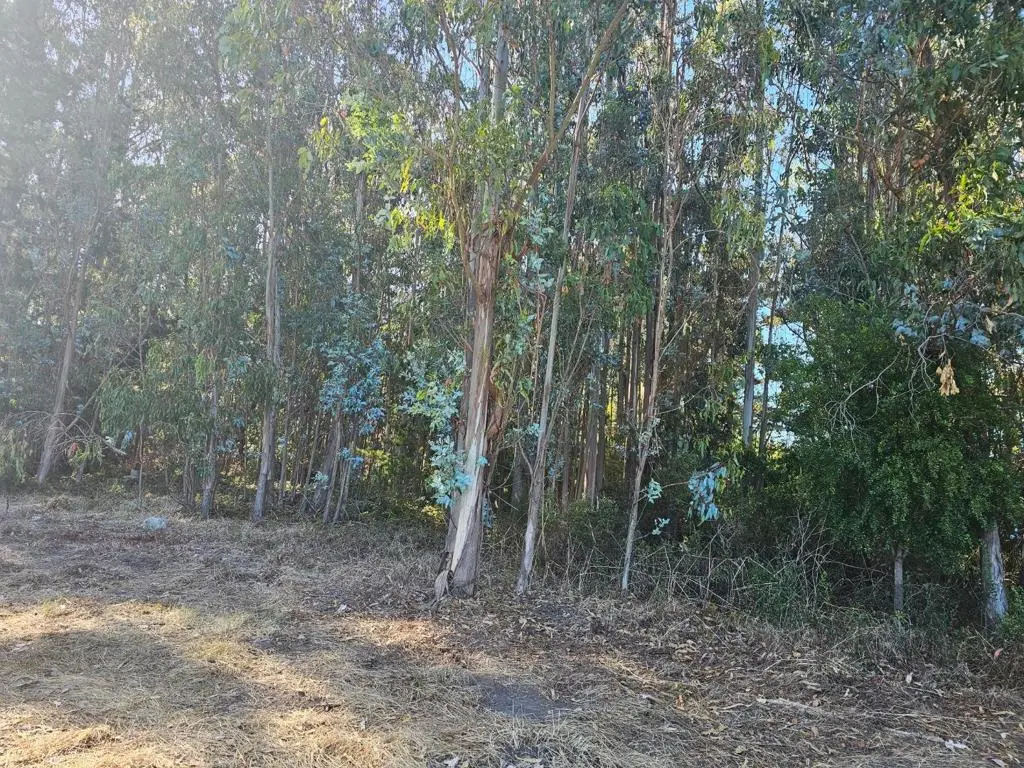 Address available on request, Half Moon Bay, CA — listing photo 1