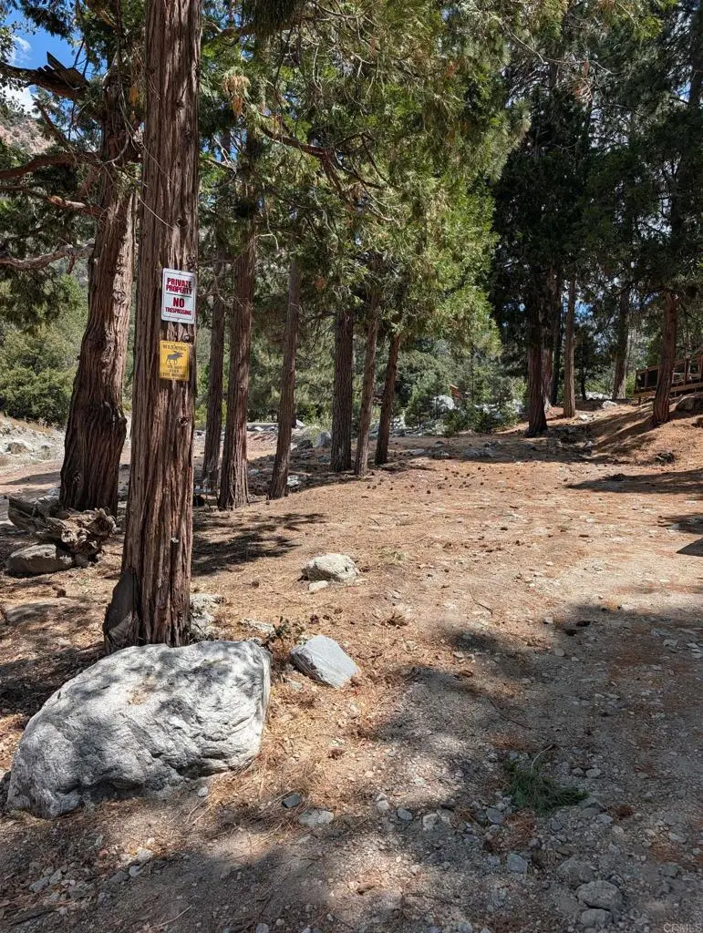 0 island dr, Forest Falls, CA — listing photo 1
