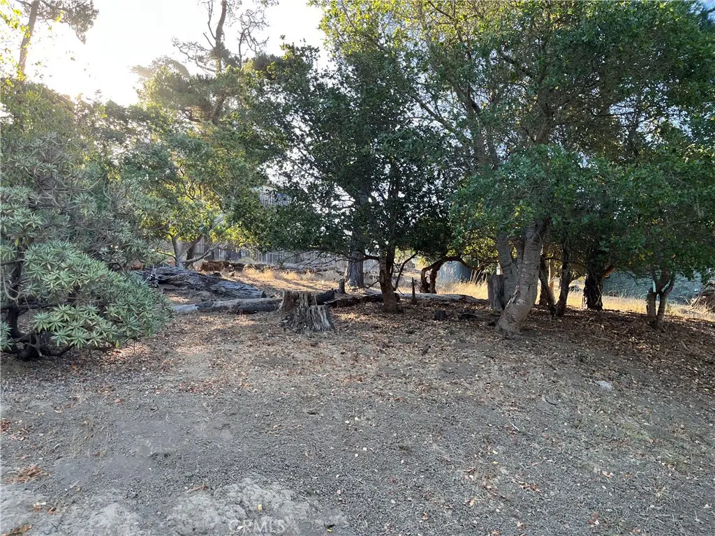 1670 Burton Drive, Cambria, CA — listing photo 1