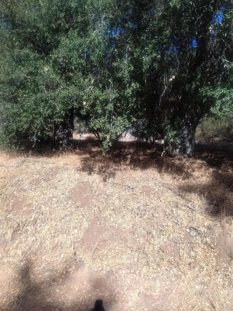 0 Valley View Trail, Pine Valley, CA — listing photo 1