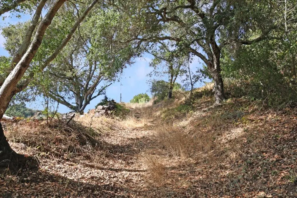 Address available on request, Scotts Valley, CA — listing photo 1