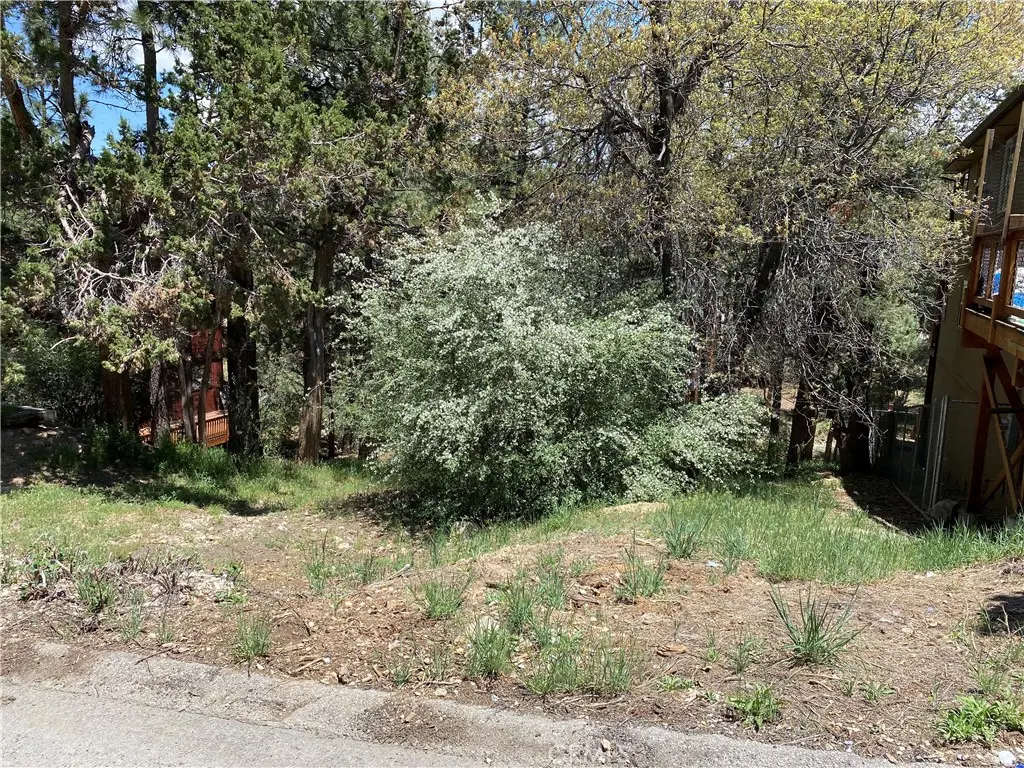 0 Imperial Avenue, Sugarloaf, CA — listing photo 1
