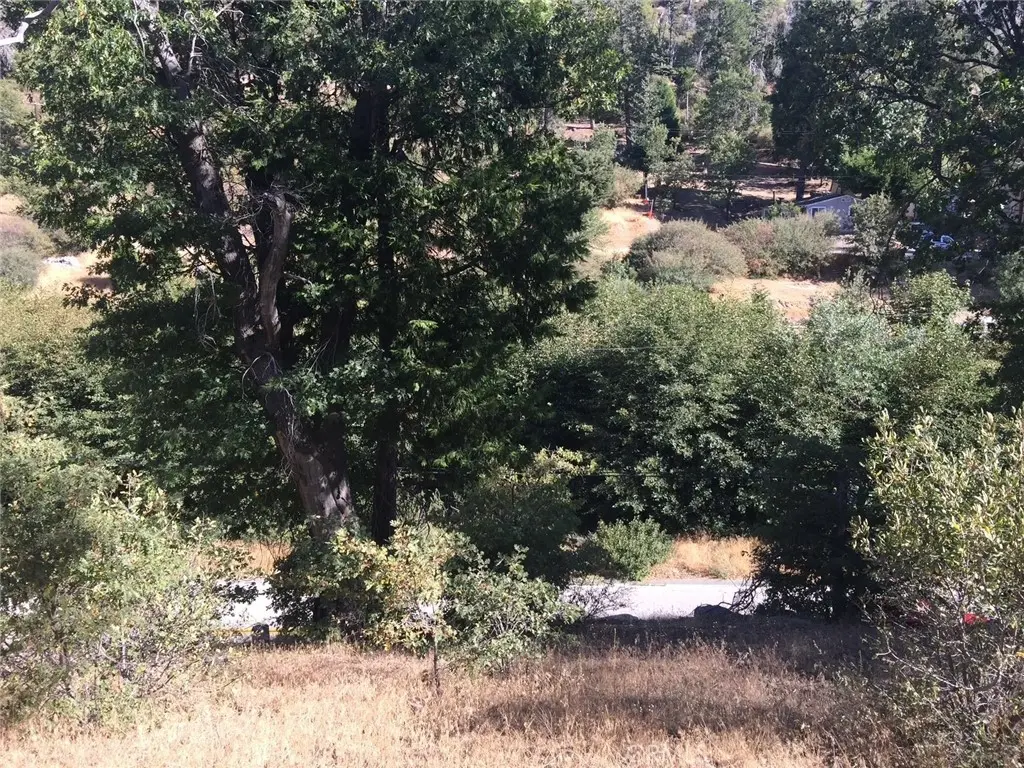 29776 Hook Creek, Cedar Glen, CA — listing photo 1