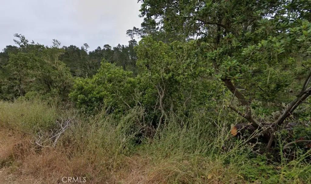 2977 Ramsey Road, Cambria, CA — listing photo 1