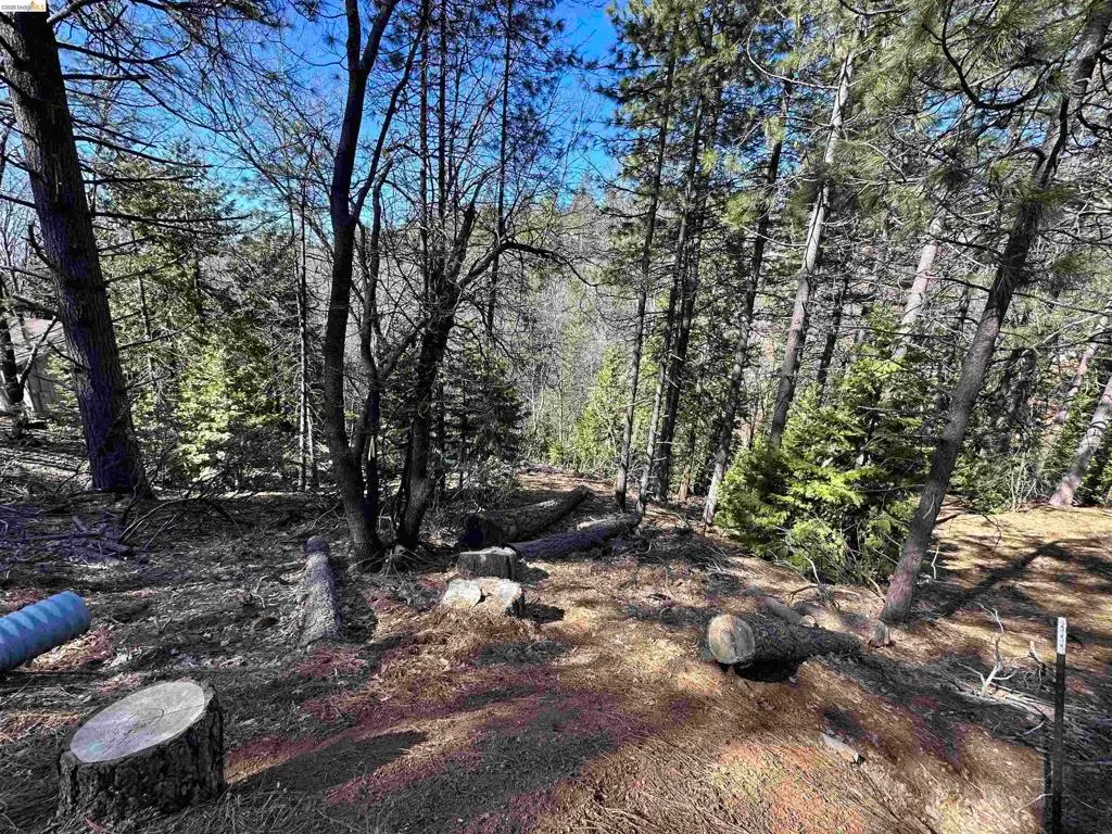 23956 Stable Rd, Sonora, CA — listing photo 1