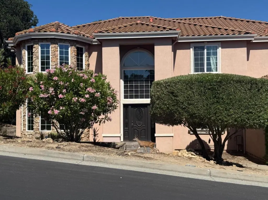 8501 Mossrose Way, Gilroy, CA — listing photo 1