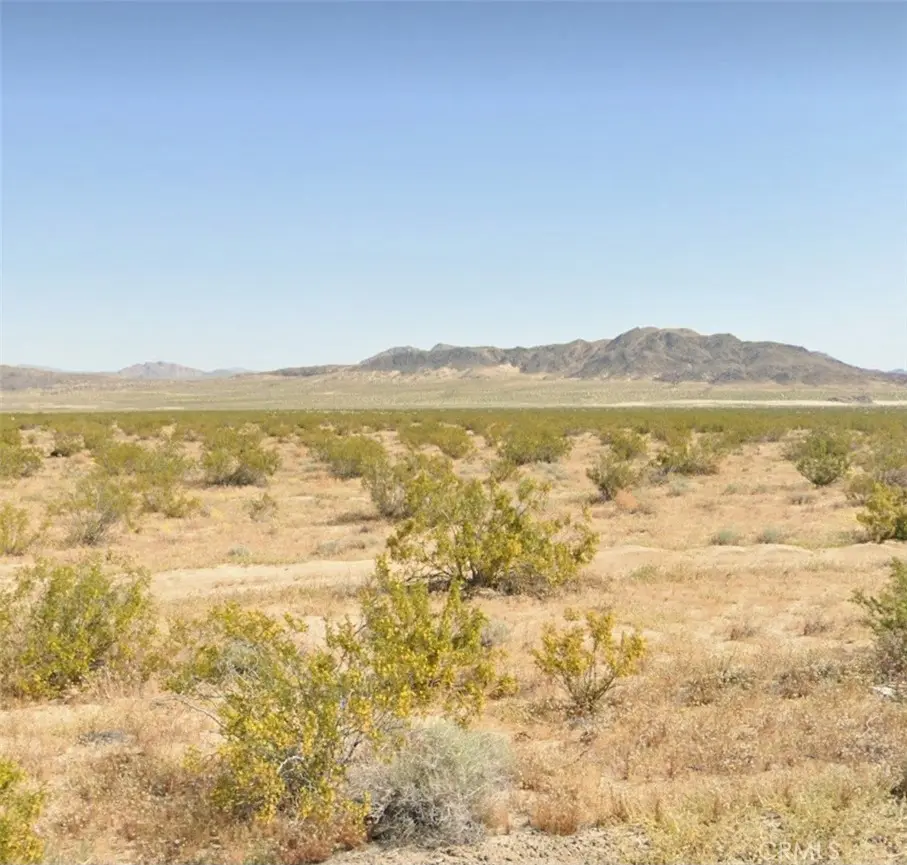 800 Firethorn Way (NEAR), Johnson Valley, CA — listing photo 1