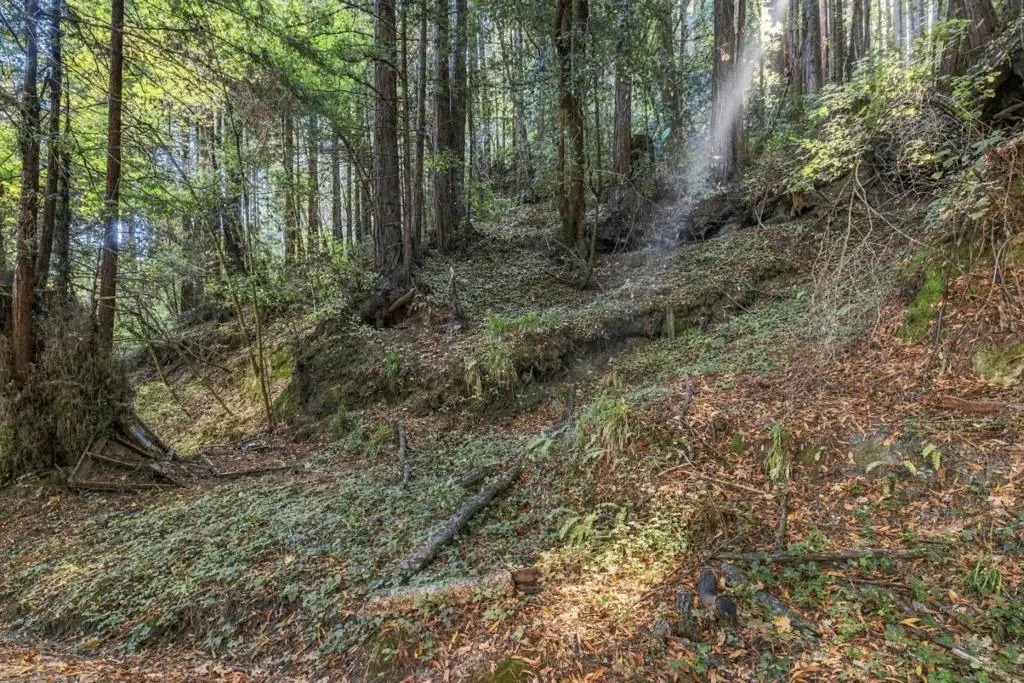 1 Pringle, Soquel, CA — listing photo 1