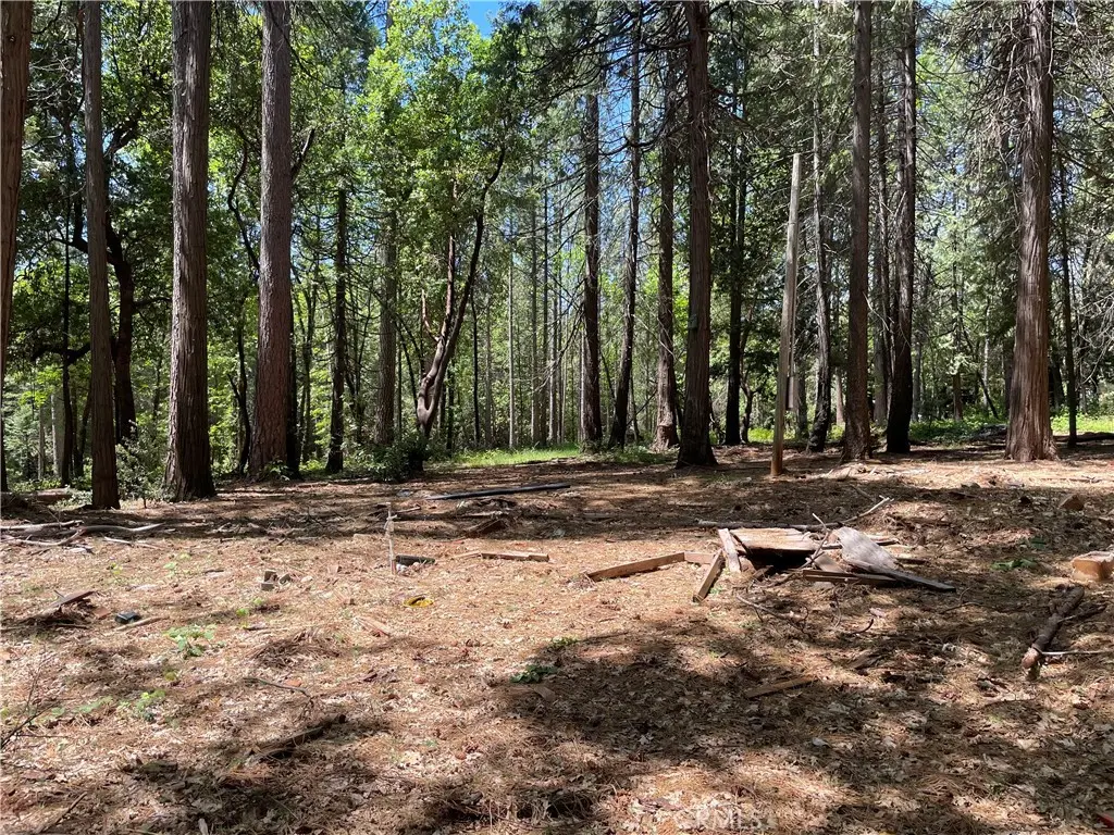 55 Buckeye, Forbestown, CA — listing photo 1
