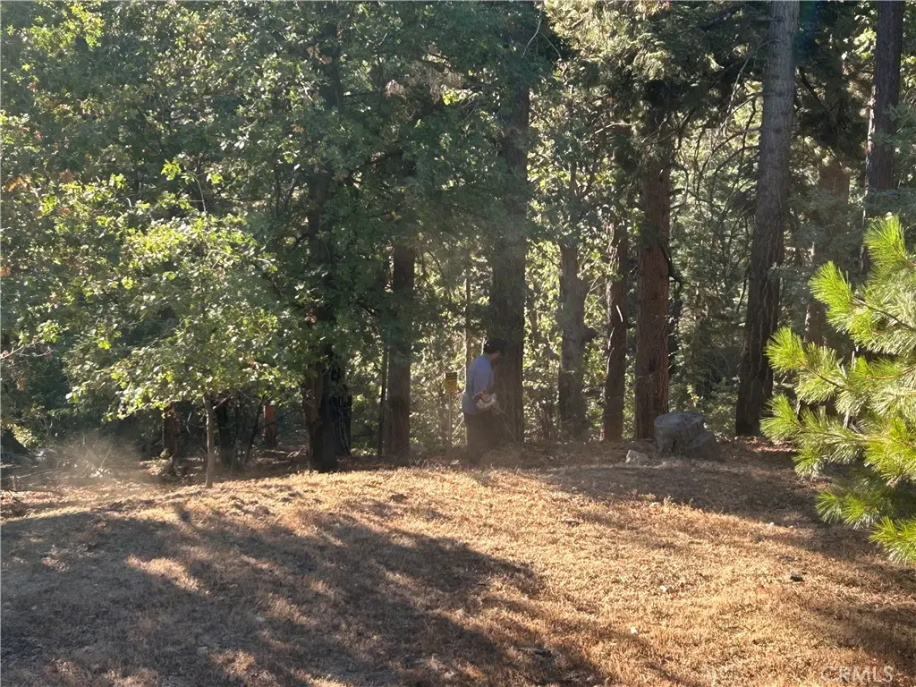 2335 Deep Creek, Running Springs, CA — listing photo 1