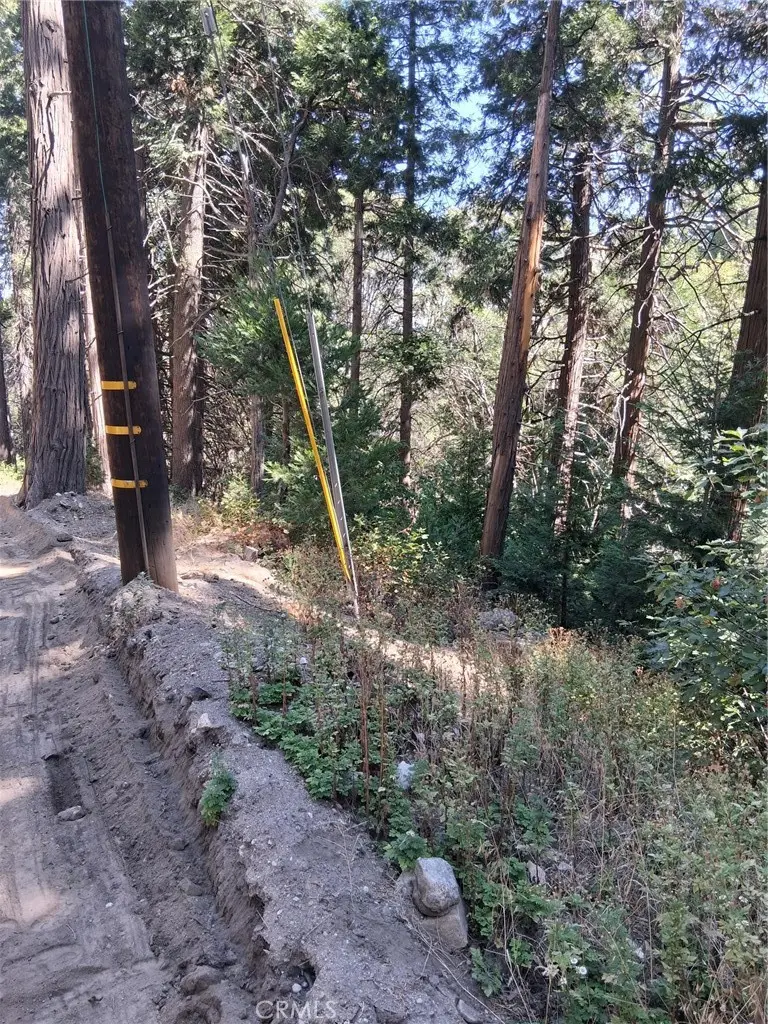 14 Burnt Mill Canyon Road, Cedarpines Park, CA — listing photo 1