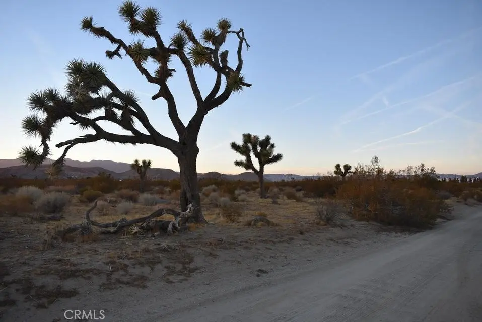 6000 W Backus Road, Mojave, CA — listing photo 1