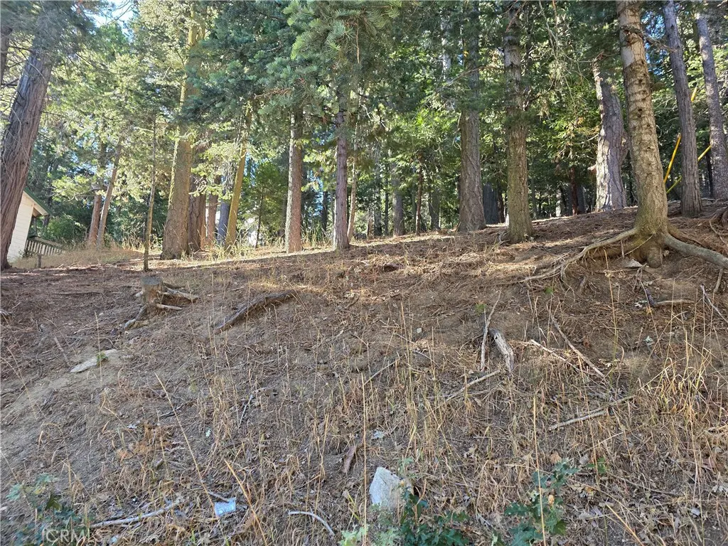0 Altdorf, Crestline, CA — listing photo 1