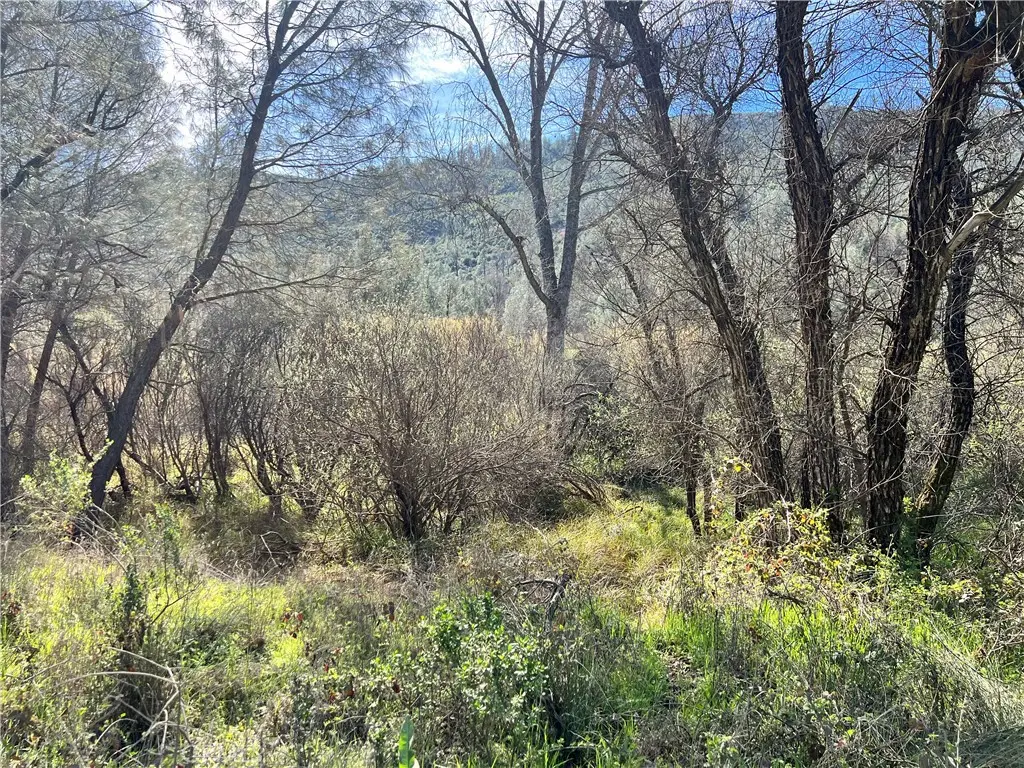 2286 New Long Valley Road, Clearlake Oaks, CA — listing photo 1
