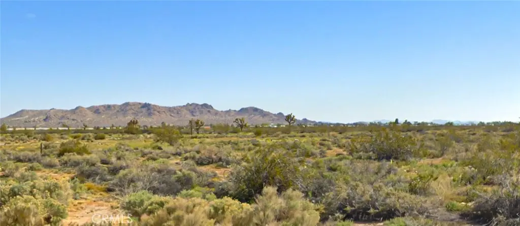 0 E Ave R 10, Sun Village, CA — listing photo 1