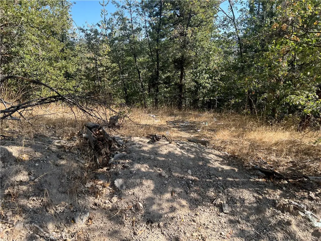 0 Lone Pine Dr., Arrowbear, CA — listing photo 1