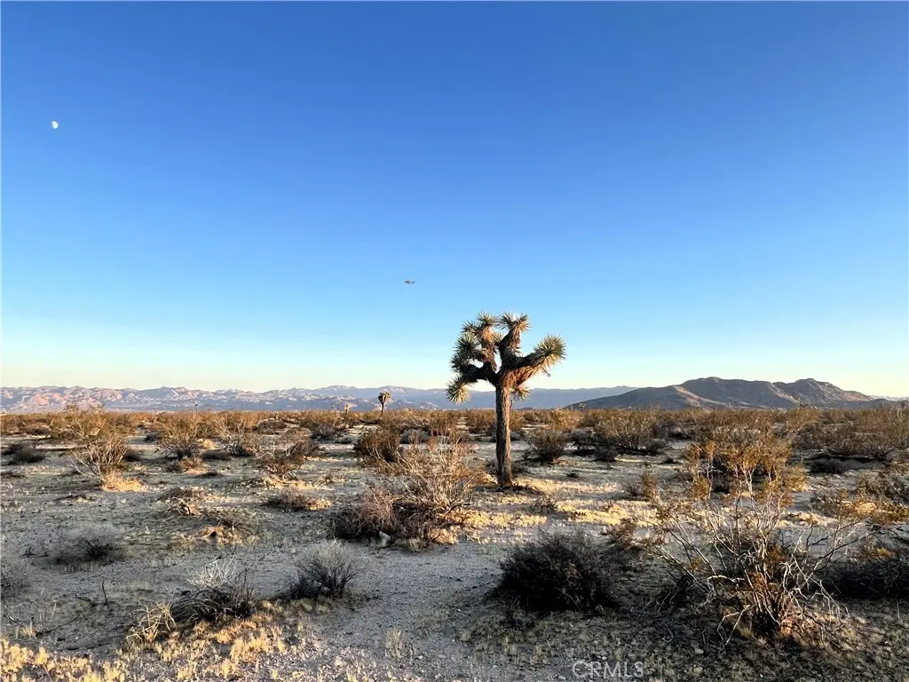 1010 Celeste Road, Joshua Tree, CA — listing photo 1
