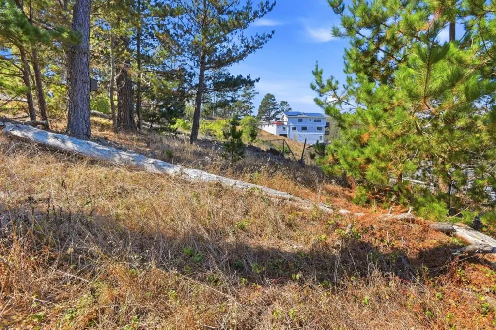 920 Irving Street, Montara, CA — listing photo 1