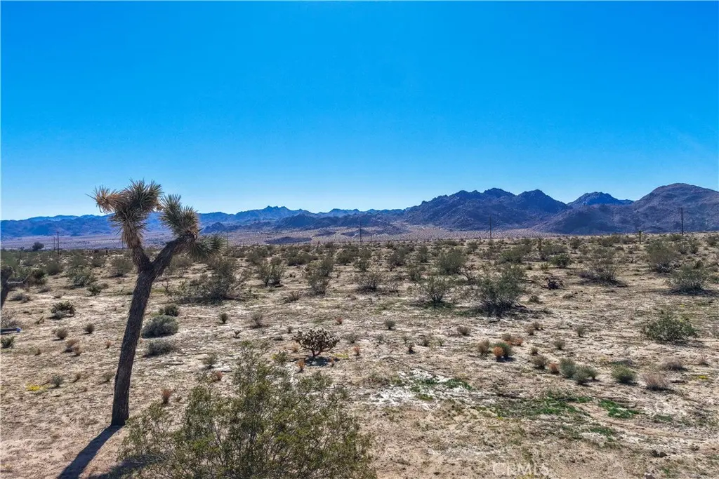 62407 Crestview Drive, Joshua Tree, CA — listing photo 1