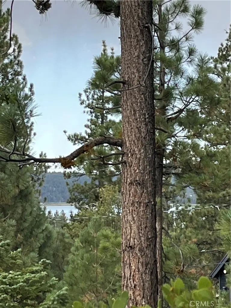 833 Great Spirits, Big Bear Lake, CA — listing photo 1