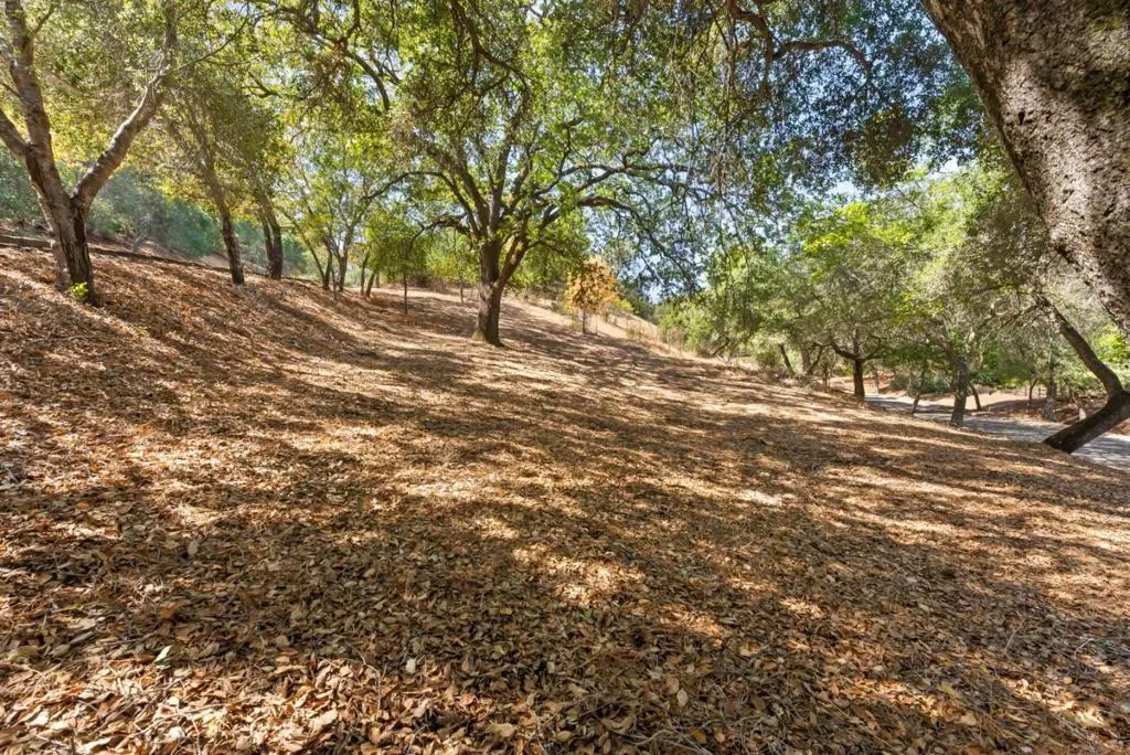 16099 Greenwood Road, Monte Sereno, CA — listing photo 1