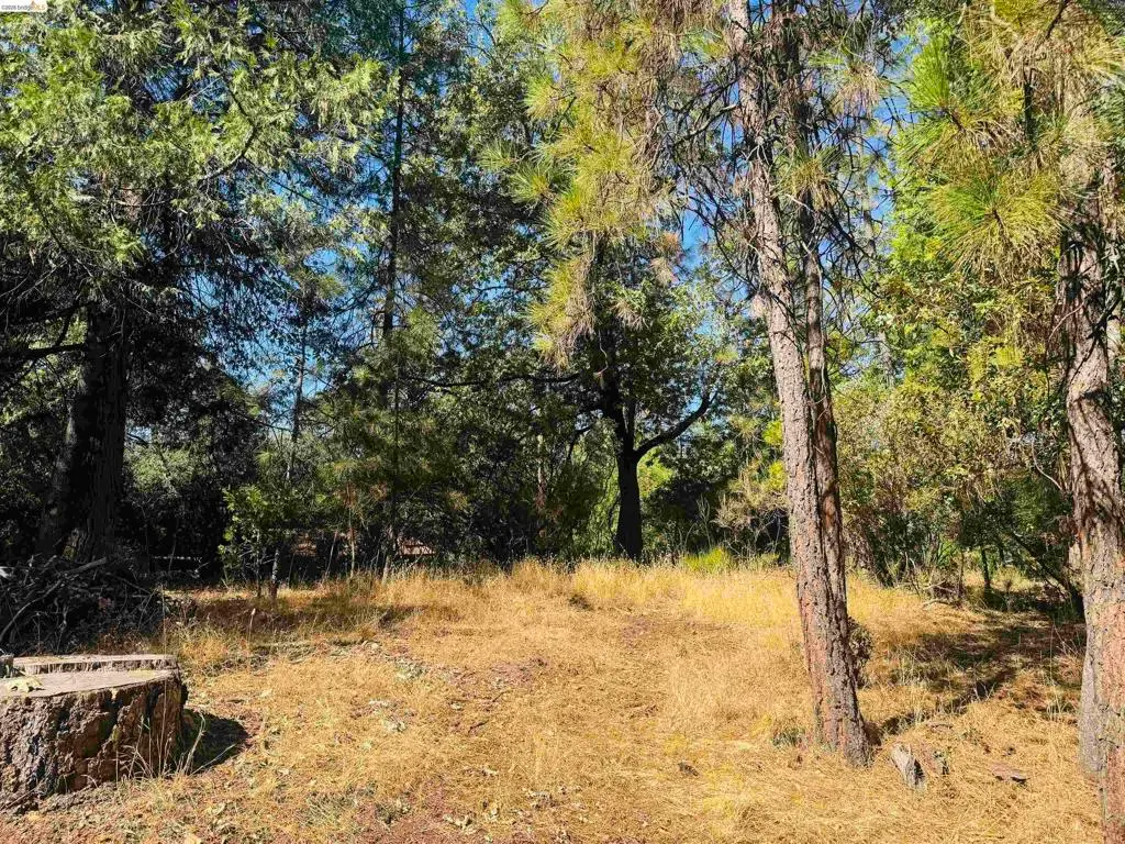 0 American River, Sonora, CA — listing photo 1