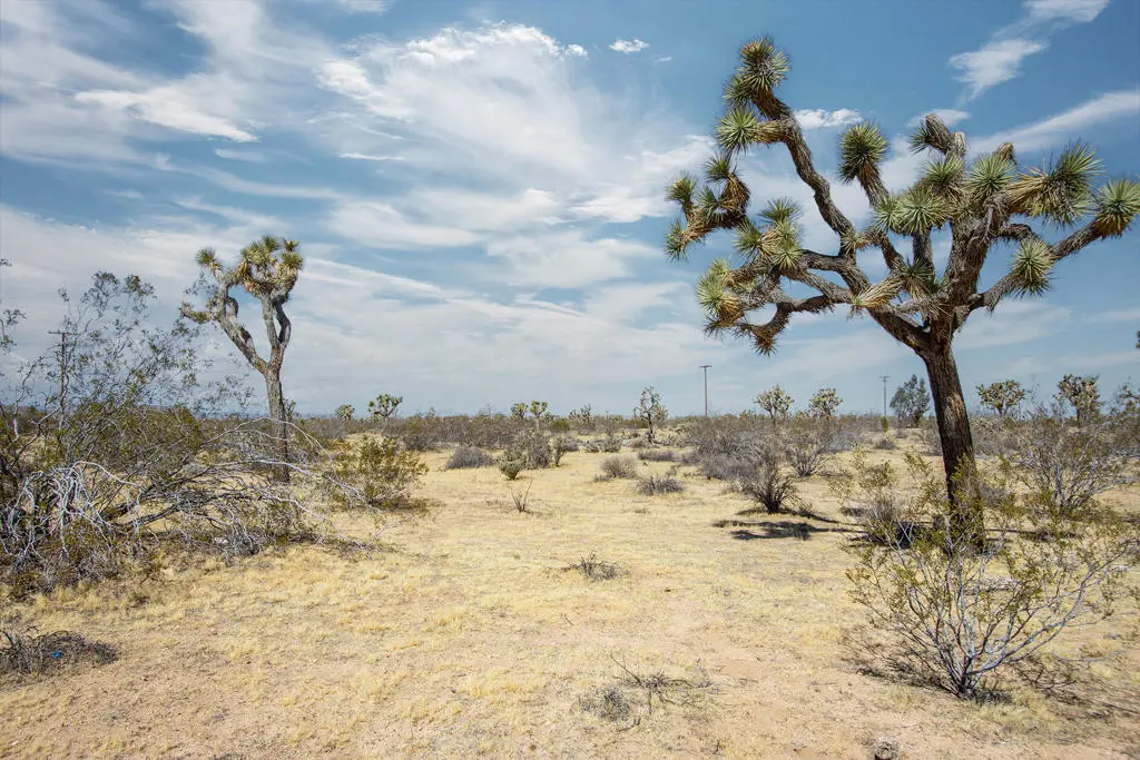 138 La Brisa Road, Yucca Valley, CA — listing photo 1