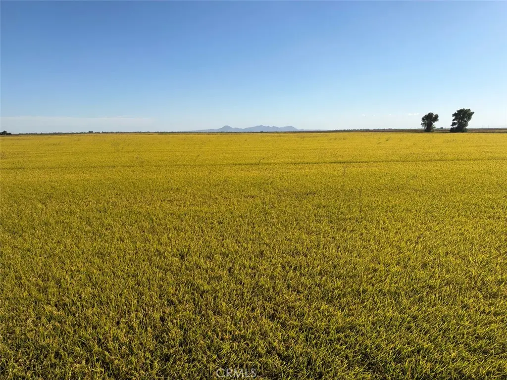 0 Lofgren Road, Richvale, CA — listing photo 1