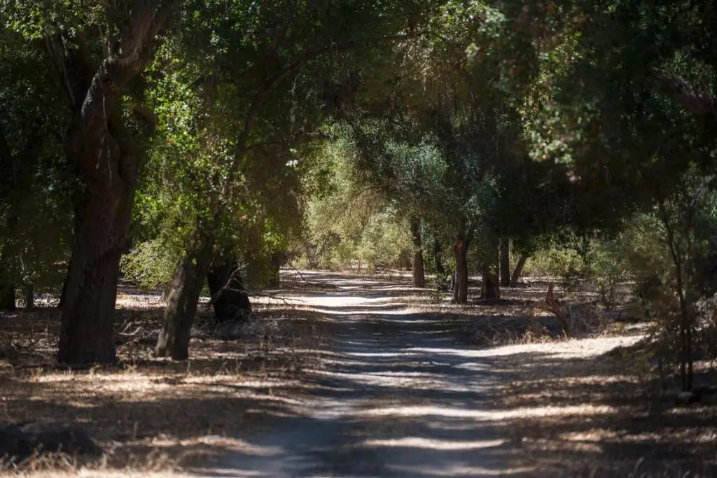 Address available on request, King City, CA — listing photo 1