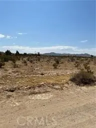 0 NE Ledbiry, Oro Grande, CA — listing photo 1