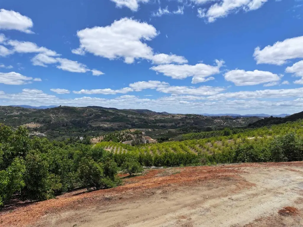 45761 Camaron Road, Temecula, CA — listing photo 1