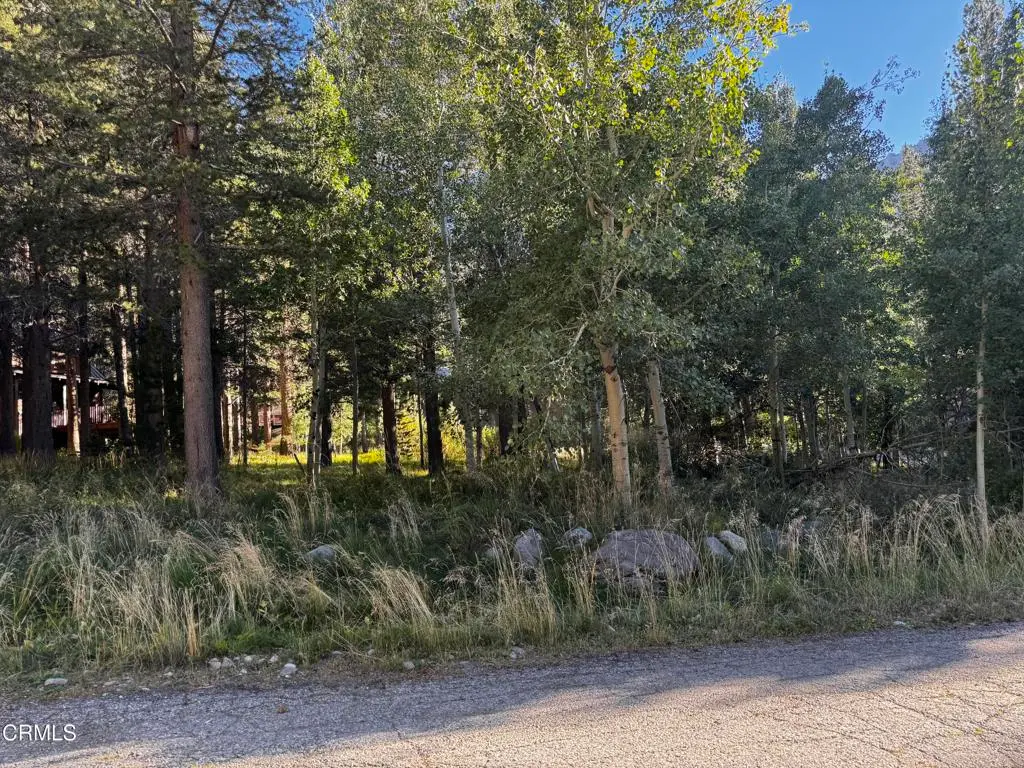 Lot 2 Minaret Road, June Lake, CA — listing photo 1