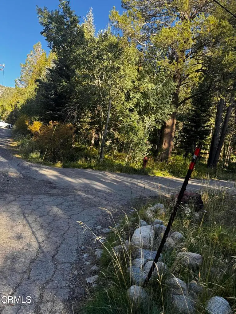 Lot 1 Aspen Grove Lane, June Lake, CA — listing photo 1