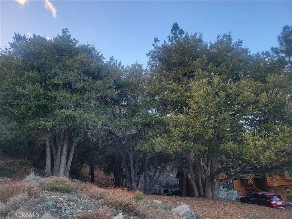 0 Desert view, Wrightwood, CA — listing photo 1
