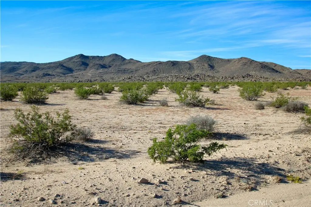63305 Ranier Road, Joshua Tree, CA — listing photo 1