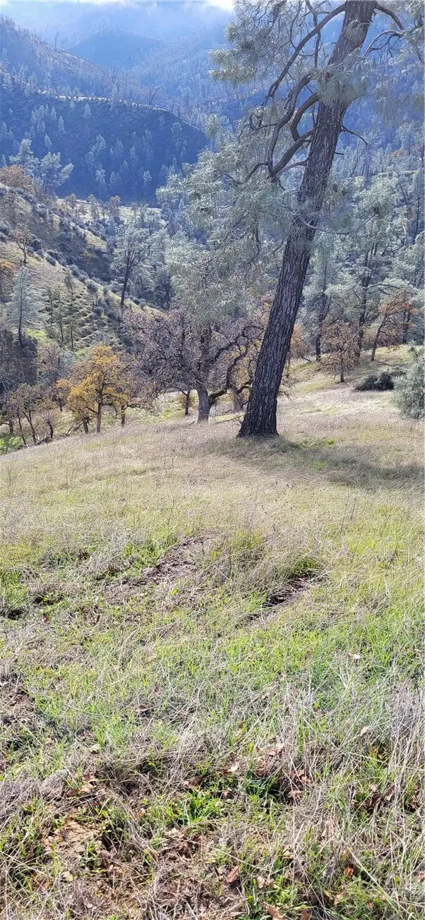 0 Cottonwood Creek, Igo, CA — listing photo 1