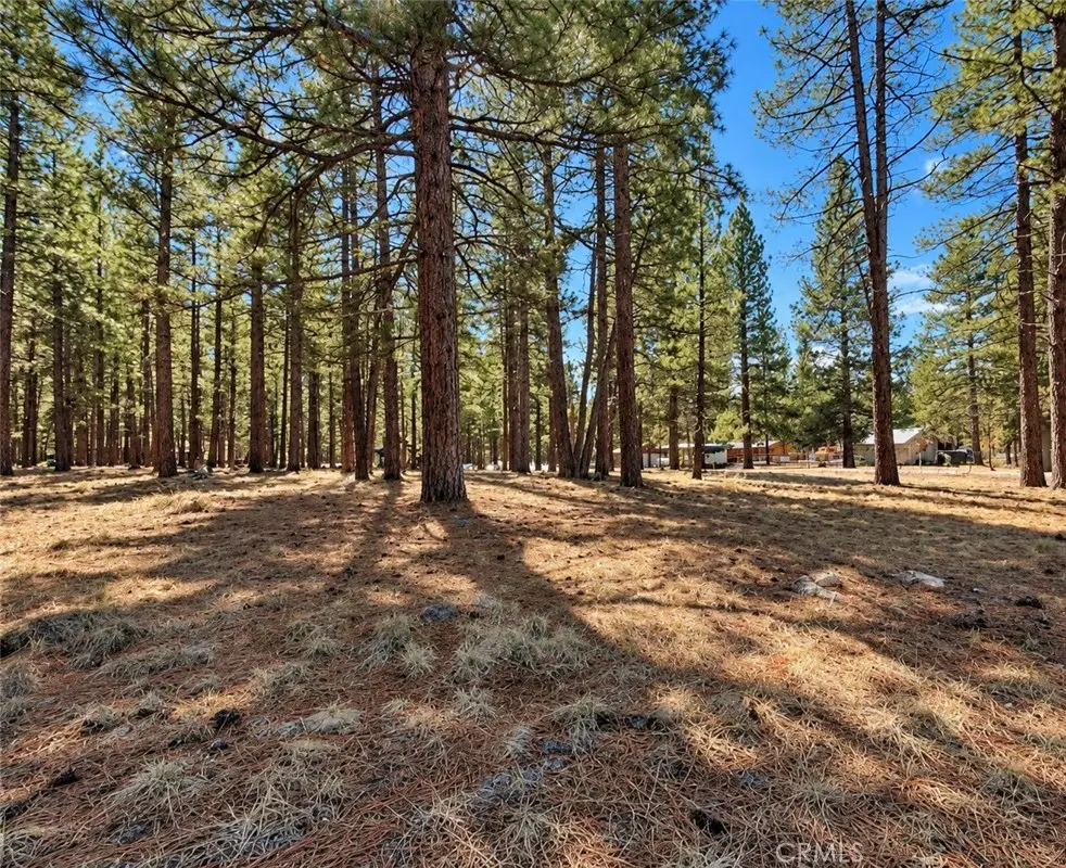 687 650 Maple Way, Susanville, CA — listing photo 1