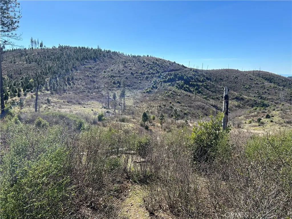 1234 Hog Ranch Rd, Oroville, CA — listing photo 1