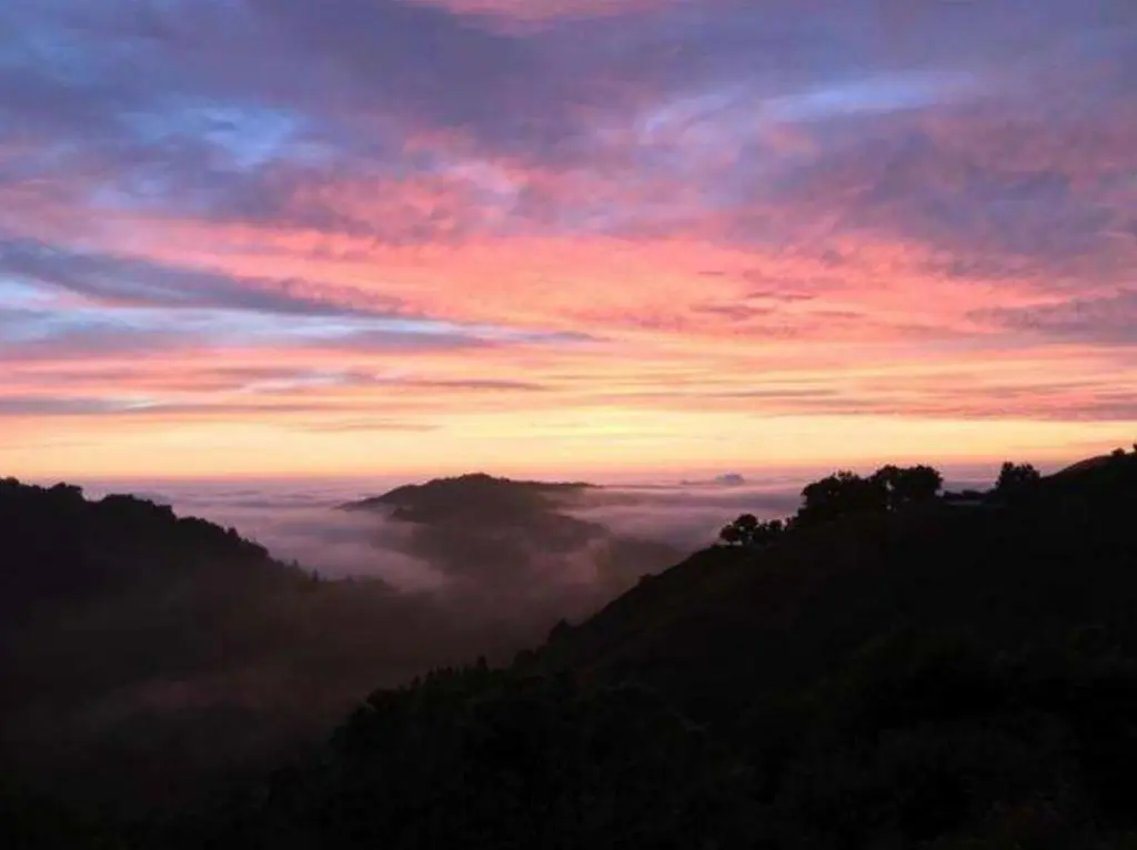 38711 Palo Colorado Road, Carmel, CA — listing photo 1