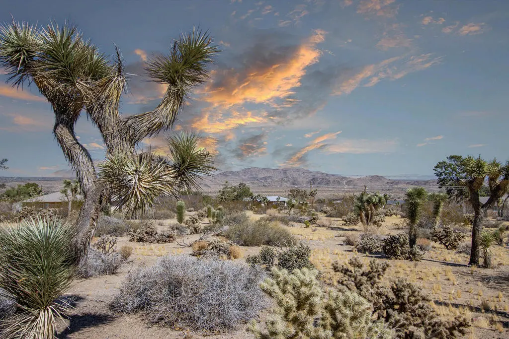 60586 La Mirada Trail, Joshua Tree, CA — listing photo 1