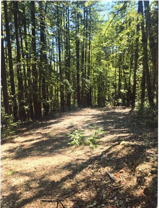 MURPHY CANYON Road, Gilroy, CA — listing photo 1