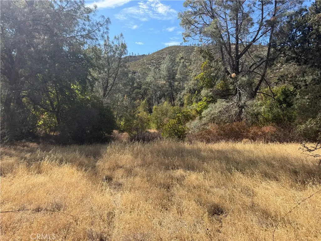 0 Goat Mountain Road, Stonyford, CA — listing photo 1