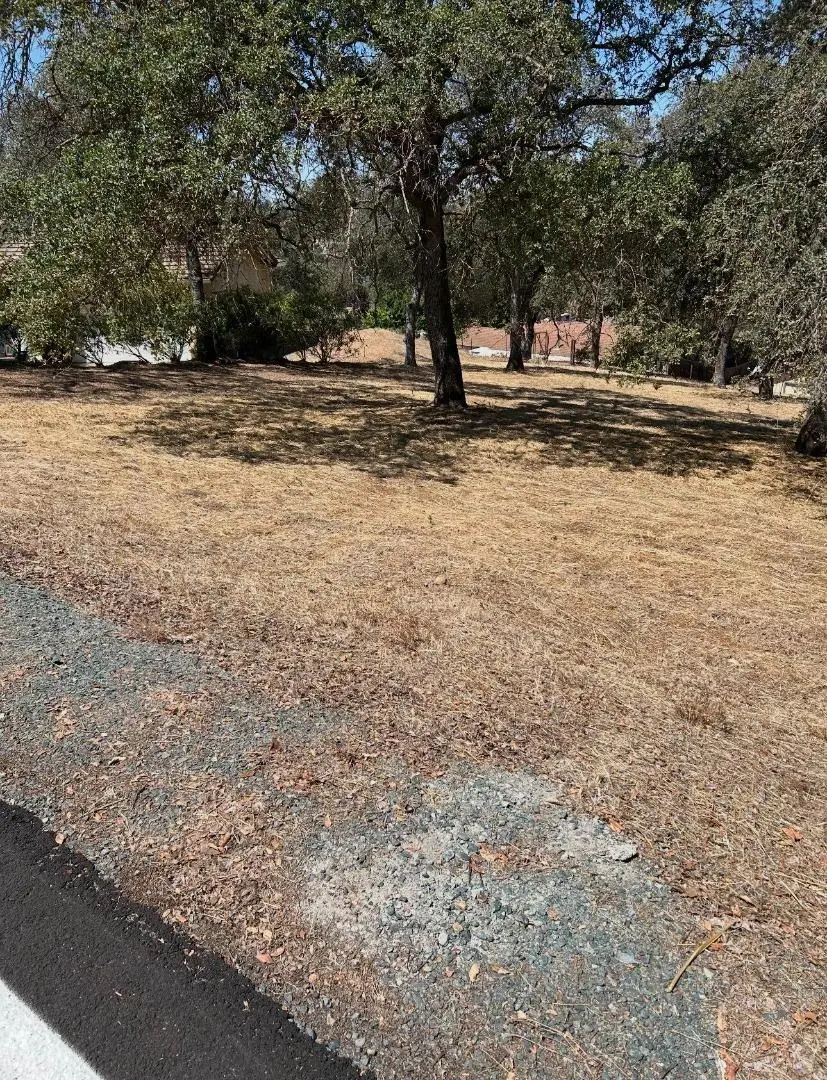 2194 Partridge Drive, Valley Springs, CA — listing photo 1