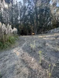 509 Carpenteria Road, Aromas, CA — listing photo 1