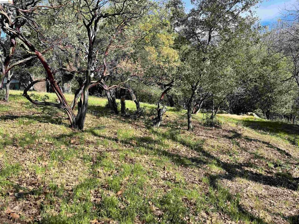 16505 S Creekside Dr, Sonora, CA — listing photo 1